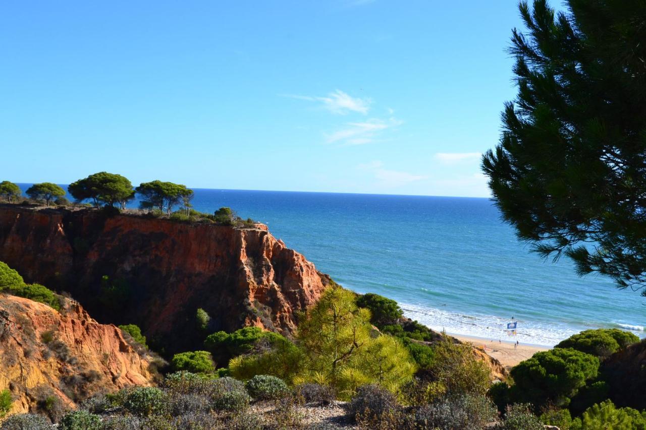 T0 Junto A Praia De Vale Centeanes / Carvoeiro Lagoa  Luaran gambar